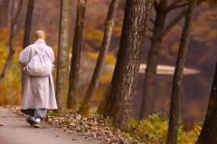 Starting the journey