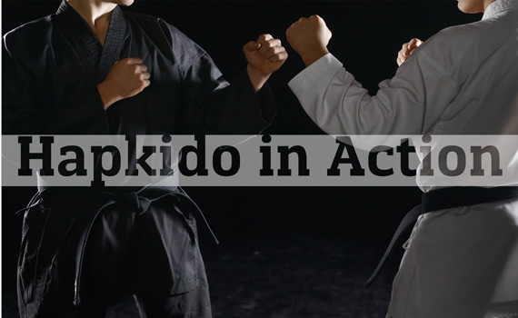 Hapkido in Action